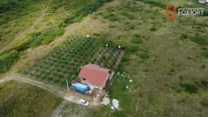 COMISION 0% Casa individuala cu 3 camere si teren de 752 mp -  Mosnita - imagine 7