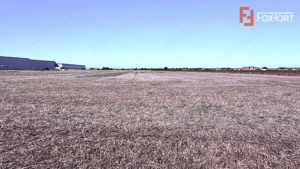 COMISION 0% Teren extravilan 40.000 mp - zona Sanandrei - imagine 3