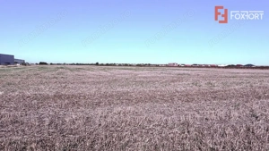 COMISION 0% Teren extravilan 40.000 mp - zona Sanandrei - imagine 4