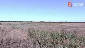 COMISION 0% Teren extravilan 40.000 mp - zona Sanandrei - imagine 2