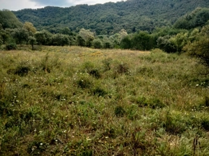 Vând teren extravilan - Comanca (Băile Olanesti) - imagine 3