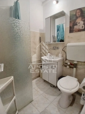 Garsoniera Pet friendly, zona Buziasului - imagine 5