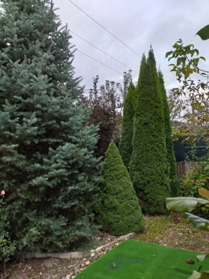 Imobil central Moieciu de jos,Brasov.La vanzare si schimb imobiliar,inclusiv cu dezvoltatori imobil. - imagine 8