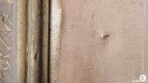 Pictura pe panza - imagine 4