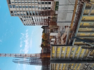 Caut dulgheri și fierari - imagine 4