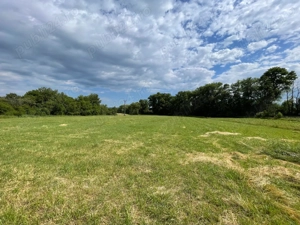 Teren si casa de vanzare - imagine 3