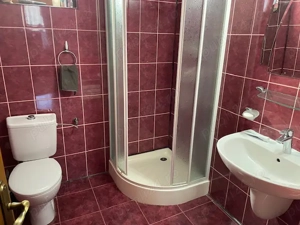 Vilă P+M, zonă rezidentială, mobilată și utilată - imagine 10