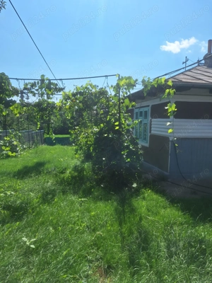 Casa de vanzare - imagine 6