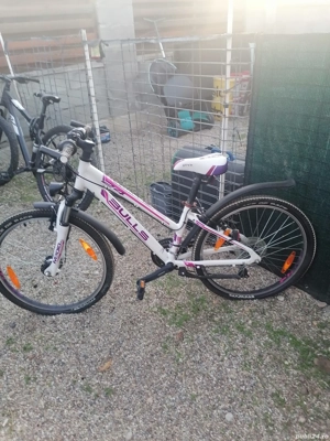 Bicicletă Bulls