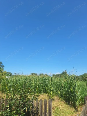 Casa de vanzare - imagine 8