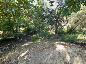 Teren de vanzare Pucioasa - imagine 7