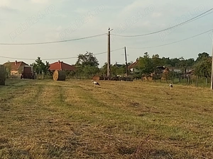 Pamant  teren de vanzare intravilan - imagine 2 Pamant  teren de vanzare intravilan - imagine 2