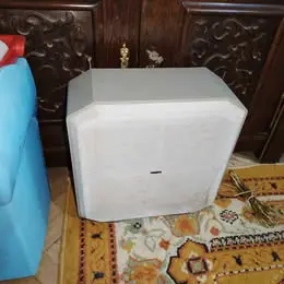 Subwoofer pasiv Philips CSW3900 - imagine 2