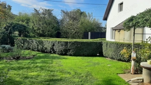 Vand casa 120mp la pret de apartament - imagine 2