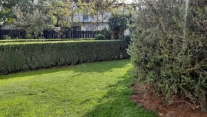 Vand casa 120mp la pret de apartament - imagine 6