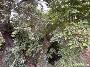 Teren intravilan Gruiu I 2.551 mp - imagine 4