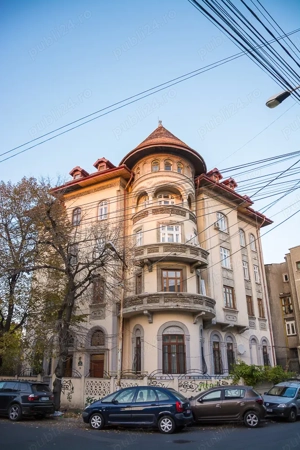 Apartament Lux In Vila Monument Istoric