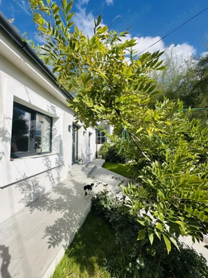 vand casa, zona spitalul judetean Oradea - imagine 4 vand casa, zona spitalul judetean Oradea - imagine 4