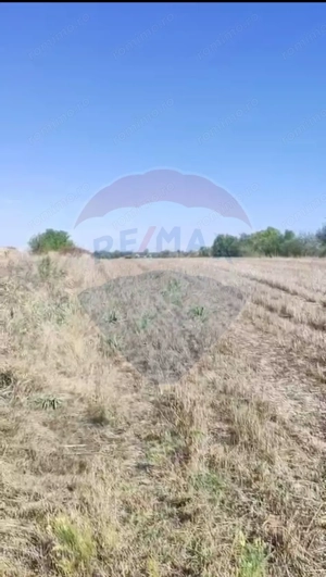 Teren 2,900mp Sat Tantava Strada Tufan - imagine 3