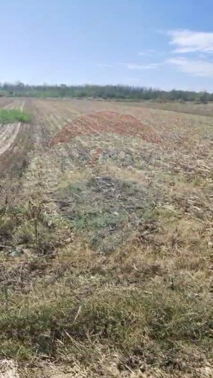 Teren 2,900mp Sat Tantava Strada Tufan - imagine 2