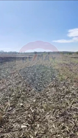 Teren 2,900mp Sat Tantava Strada Tufan