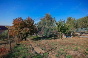 De vânzare casă cu 1 cameră, pivniță, teren 472 mp, Str Valea Frumoasă - imagine 14