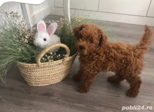 Pudeli jucării Toy mini - imagine 2