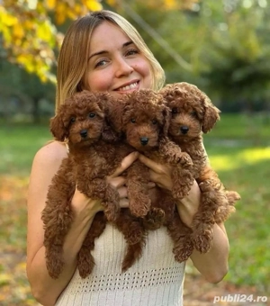 Pudeli jucării Toy mini - imagine 3