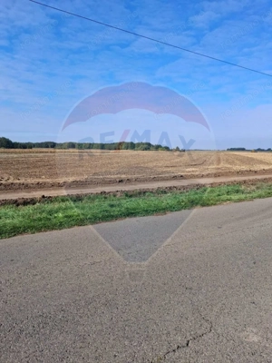 Teren 21,177mp Santaul Mic / Strada -