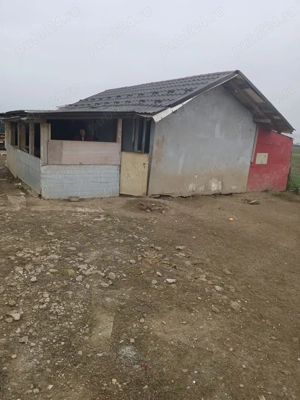 De vanzare teren copaceni Ilfov