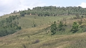 Pers Fizica vand teren SALICEA,IARA extravilan in parcele 3-500-2000 mp ideal CABANA