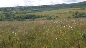 Pers Fizica vand teren SALICEA,IARA extravilan in parcele 3-500-2000 mp ideal CABANA - imagine 5