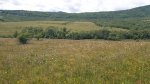 Pers Fizica vand teren SALICEA,IARA extravilan in parcele 3-500-2000 mp ideal CABANA - imagine 6