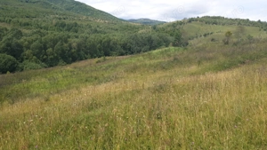 Pers Fizica vand teren SALICEA,IARA extravilan in parcele 3-500-2000 mp ideal CABANA - imagine 3