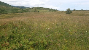 Pers Fizica vand teren SALICEA,IARA extravilan in parcele 3-500-2000 mp ideal CABANA - imagine 4