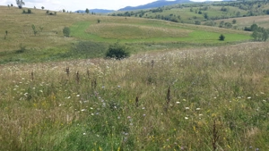 Pers Fizica vand teren SALICEA,IARA extravilan in parcele 3-500-2000 mp ideal CABANA - imagine 8