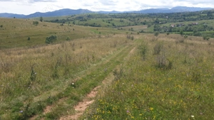 Pers Fizica vand teren SALICEA,IARA extravilan in parcele 3-500-2000 mp ideal CABANA - imagine 10