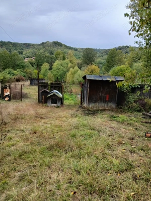 Casa cu teren 3500 mp - imagine 6