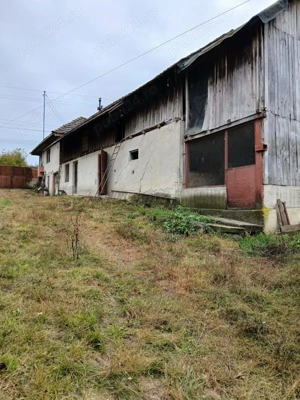 Casa cu teren 3500 mp - imagine 7