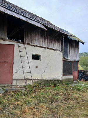 Casa cu teren 3500 mp - imagine 9