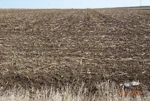 Teren extravilna Cota parte 1/16, CObadin, ID: R2782865 - imagine 5