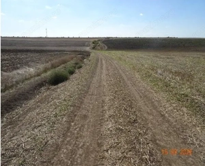 Teren extravilna Cota parte 1/16, CObadin, ID: R2782865 - imagine 4