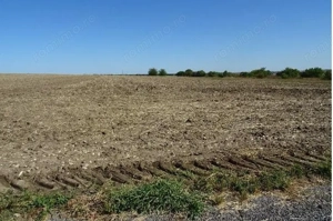 Teren intravilan Valu lui Traian, cota parte 3/48 ; ID: R2782878 - imagine 9