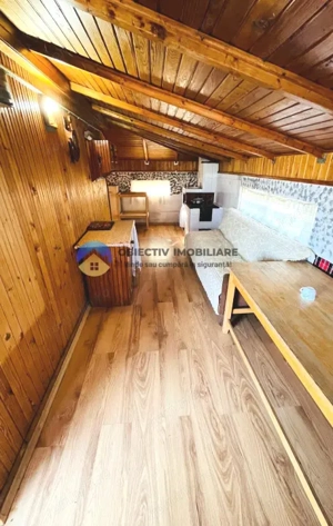 CASĂ cu teren 4.262 mp – Comuna BORLEȘTI, județul NEAMȚ - imagine 9