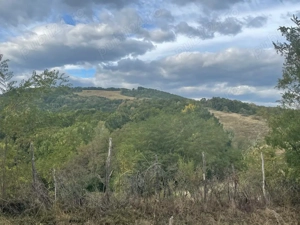 Vând teren la munte  - imagine 4