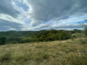 Vând teren la munte