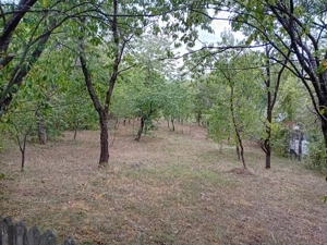 Vând teren la munte  - imagine 3