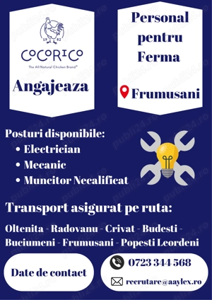 Angajam Personal - Ferma Frumusani (Calarasi)