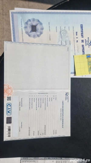 Hyundai Elantra 2.0MPI 2019 - imagine 5 Hyundai Elantra 2.0MPI 2019 - imagine 5