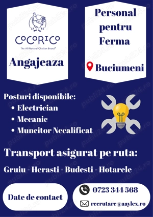 Angajam Personal la Ferma - Buciumeni